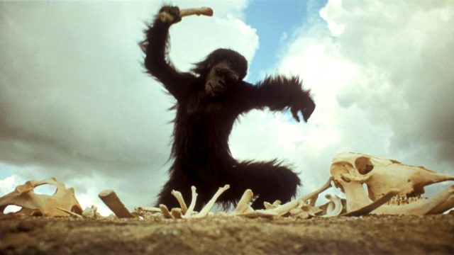 Relembre: Carta Especial Ao Leitor-Espectador-Cinéfilo