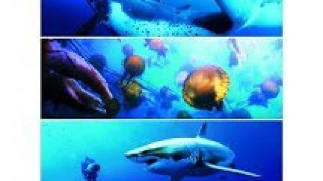 Oceanos