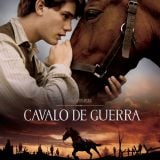 War Horse