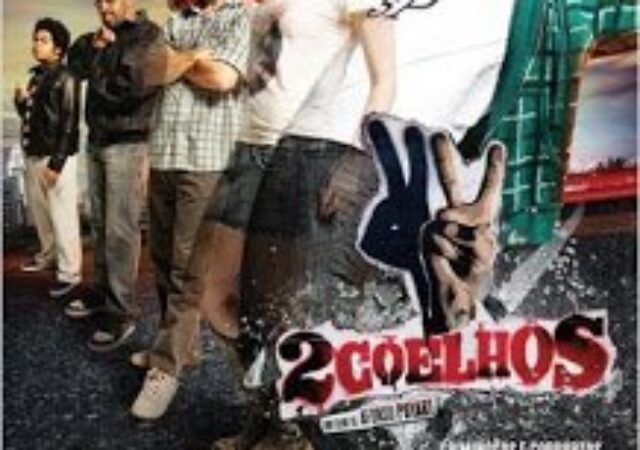 Crítica: Dois Coelhos