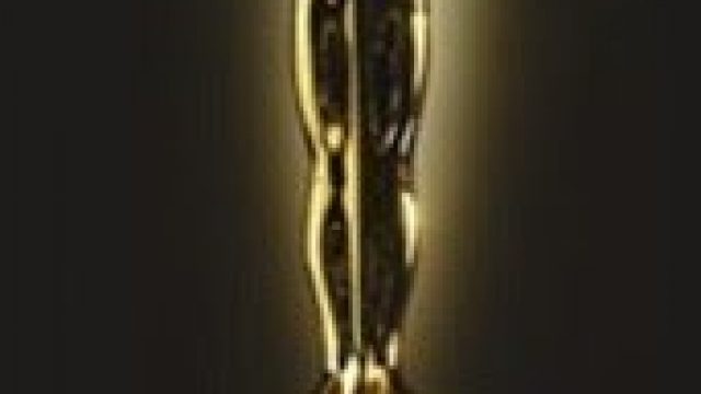 Oscar 2013: Os Indicados e Vencedores