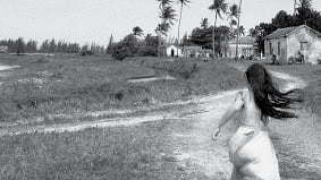 Crítica Revisitada: Sudoeste