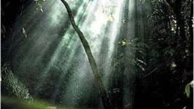 Amazônia