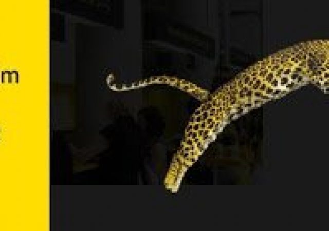 Festival de Locarno 2013