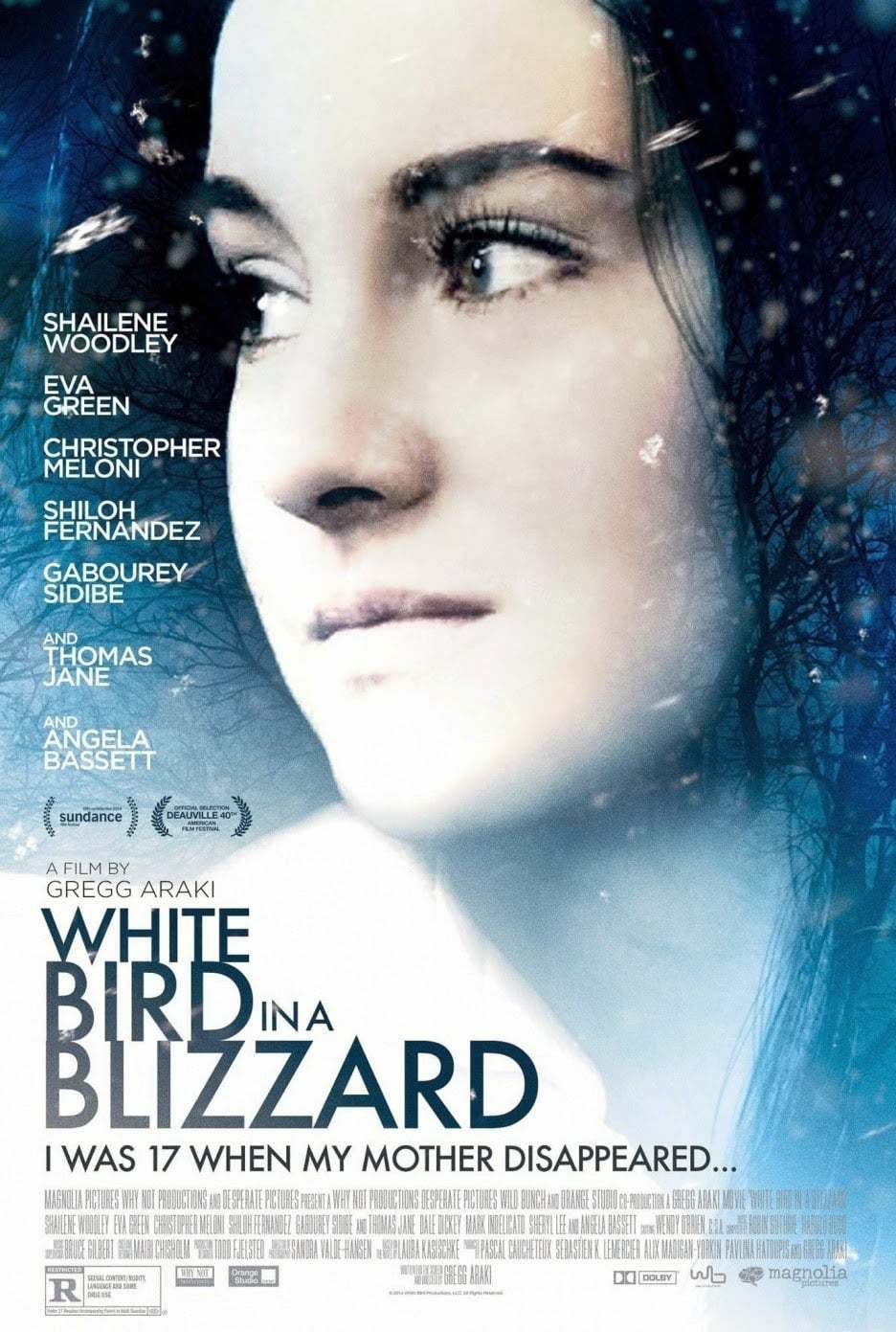 Pássaro Branco na Nevasca Vertentes do Cinema Pássaro Branco na Nevasca Vertentes do Cinema