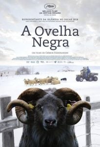 Hrútar