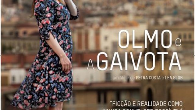 Olmo e a Gaivota