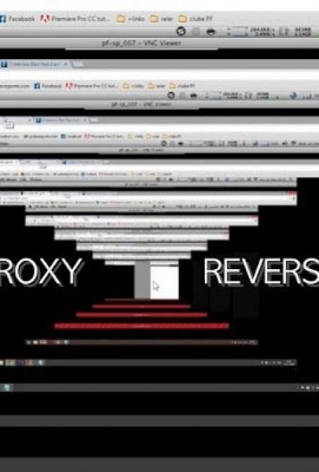 Crítica: Proxy Reverso