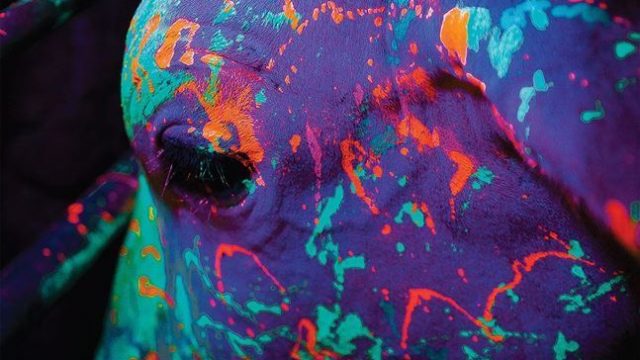 CRÍTICAS: Mostra DO BRASIL PARA O MUNDO