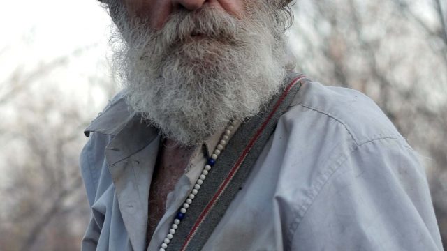 Aroeira