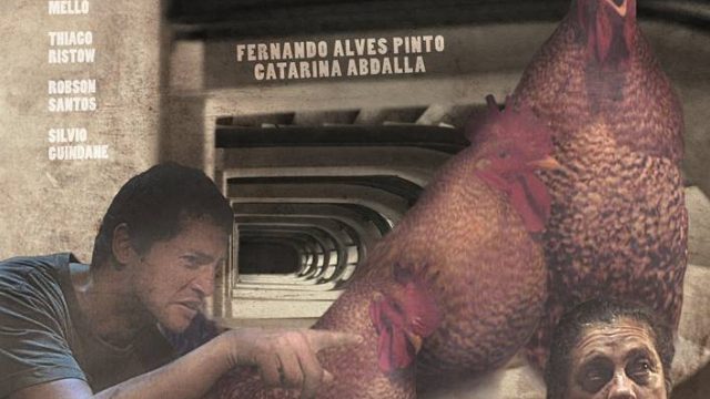 Quando o Galo Cantar Pela Terceira Vez Renegarás Tua Mãe