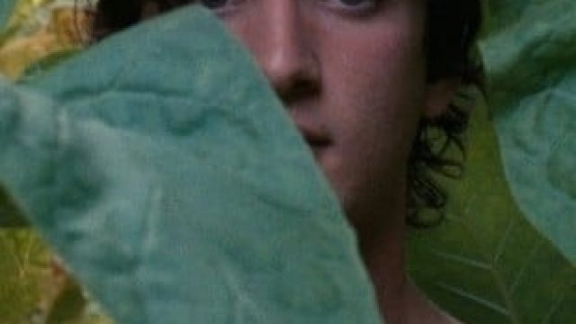 Cannes 2018: Lazzaro Felice