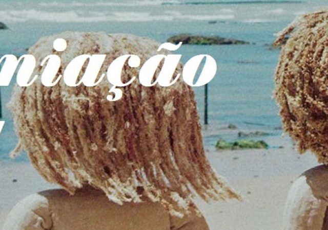 Anima Mundi 2018: A Premiação Oficial e Troféu Vertentes