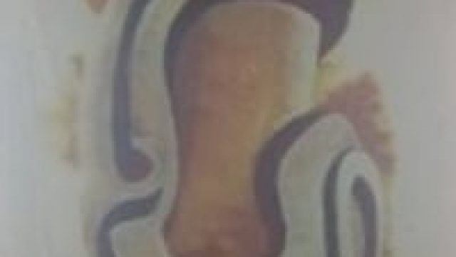 Resenha Livro: Ofos (conto O Barco)
