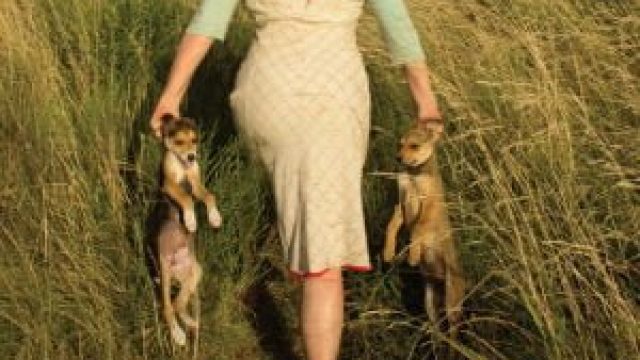 Crítica: A Mulher dos Cachorros