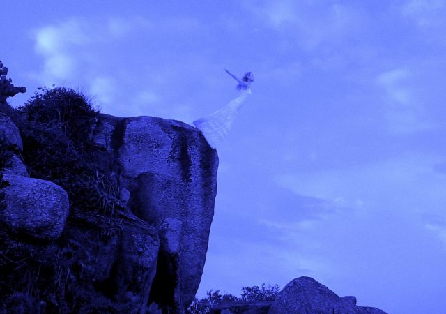 Tudo Sobre o Terceiro Mês da Mostra Um Curta Por Dia