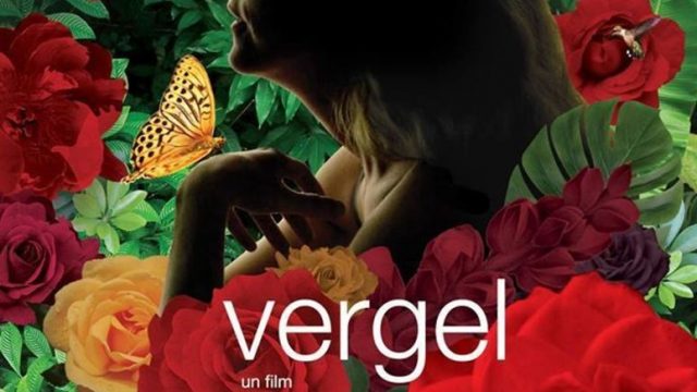 Vergel