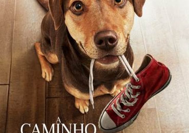 A Caminho de Casa