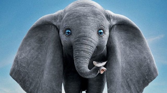 Dumbo