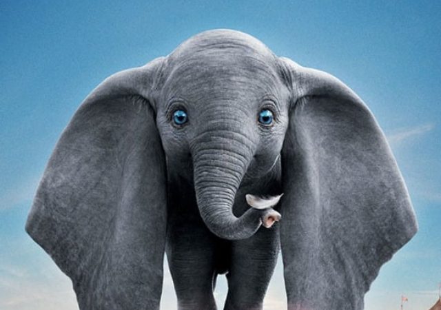 Dumbo