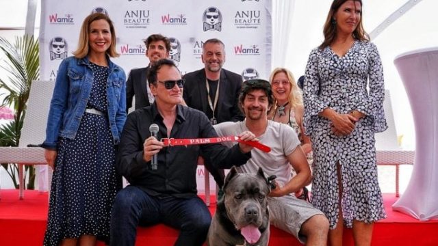 Festival de Cannes | Palm Dog 2019: Prêmio dos Cães