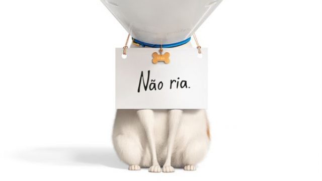 Pets – A Vida Secreta dos Bichos 2 | Crítica