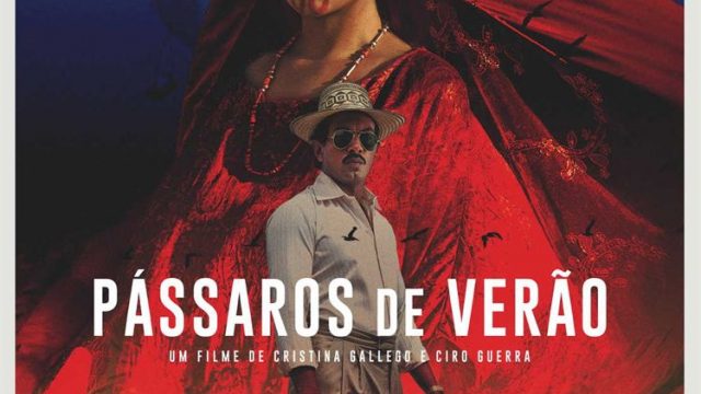 Pássaros de Verão