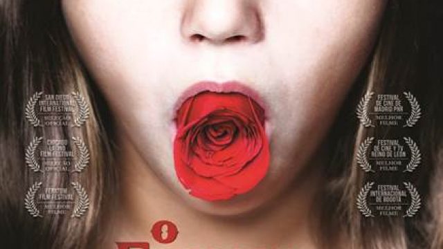 O Enigma da Rosa