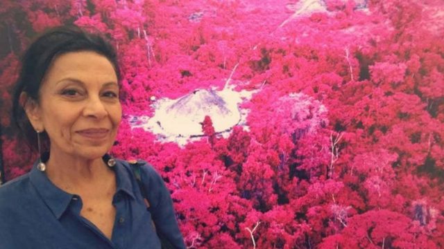 Entrevistamos a diretora Regina Jehá