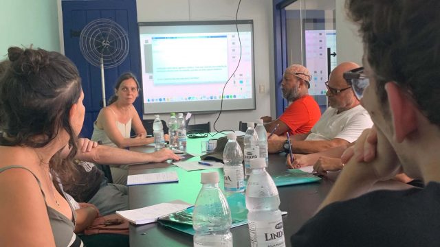 #02 PODCAST MSDC | Curadoria e Programação em Cinema