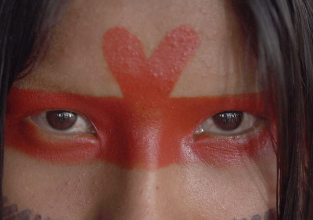 Tudo Sobre a Mostra Ecofalante Online