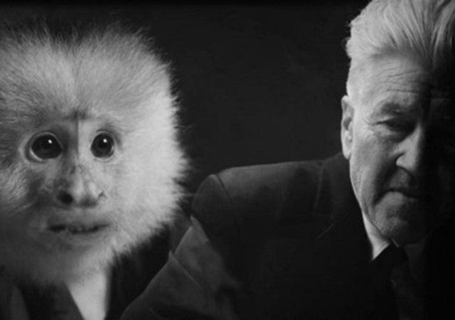 Editorial da Semana | 23 de janeiro de 2020