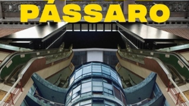 Cidade Pássaro