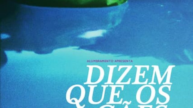 Dizem Que os Cães Veem Coisas