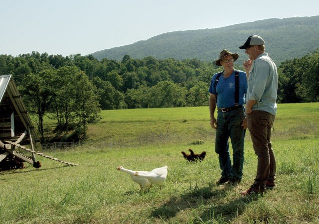 Spcine Play apresenta Mostra Québec em Casa