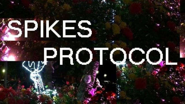 Protocolo Spikes