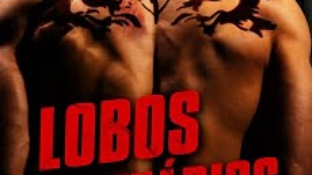 Lobos Solitários