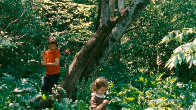 Balanço e Vencedores do 9o Olhar de Cinema 2020