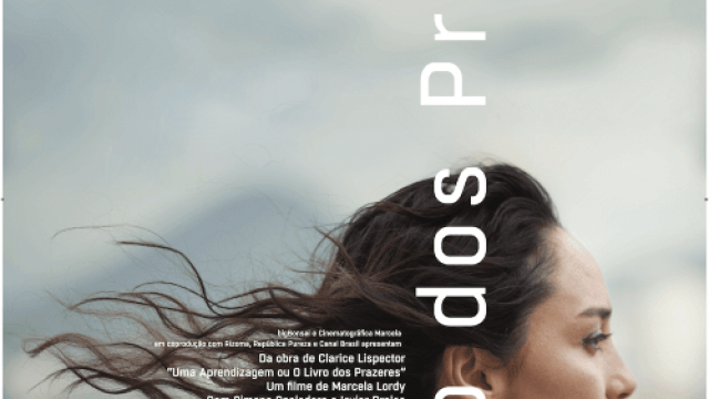 O Livro dos Prazeres