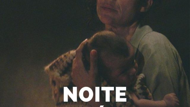 Noite Perpétua
