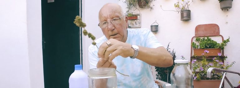 La Planta