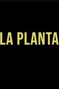 La Planta