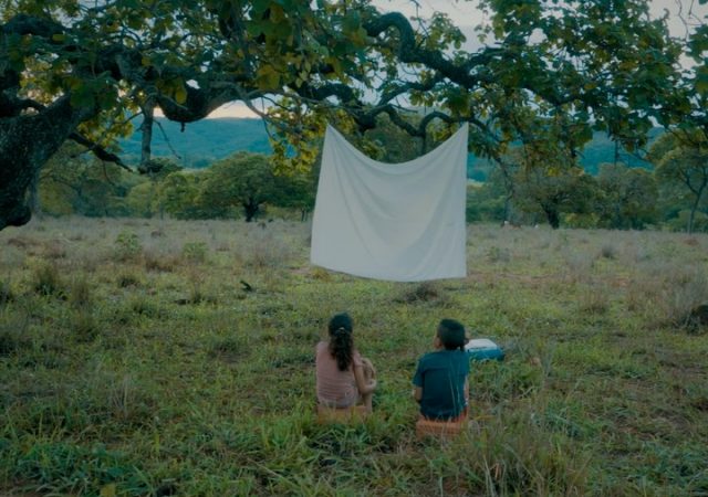 Tudo Sobre o Festival de Cinema de Vitória 2020