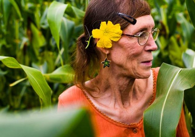 Revista da Semana | 19 de novembro de 2020