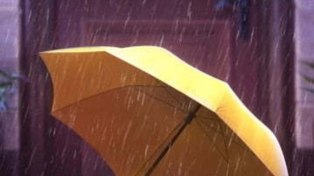 Umbrella