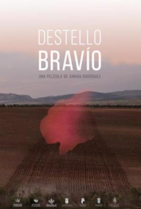 Destello Bravío