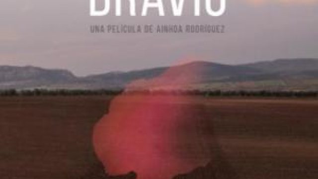 Destello Bravío