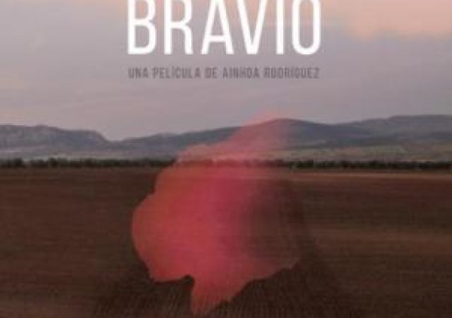 Destello Bravío