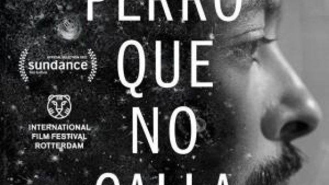 El Perro que no Calla