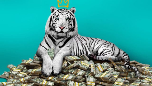 O Tigre Branco